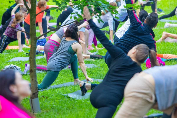 Lviv, Ukrayna - 2 Temmuz 2021: Şehir parkındaki birçok insan yoga yapıyor.