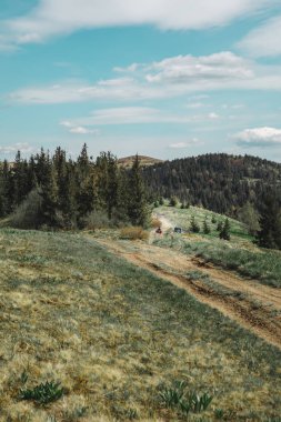 Dağdaki ormandaki patika manzarası