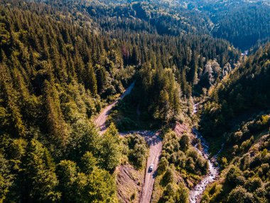 SUV arabası off-road 'da. Karpat Dağları 'ndaki Kanyon. Boşluğu kopyala