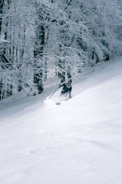 Esquiador Homem Pista Esqui Copiar Espaço — Fotografia de Stock