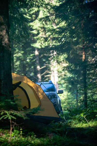 Zelt Mit Geländewagen Waldsommer — Stockfoto