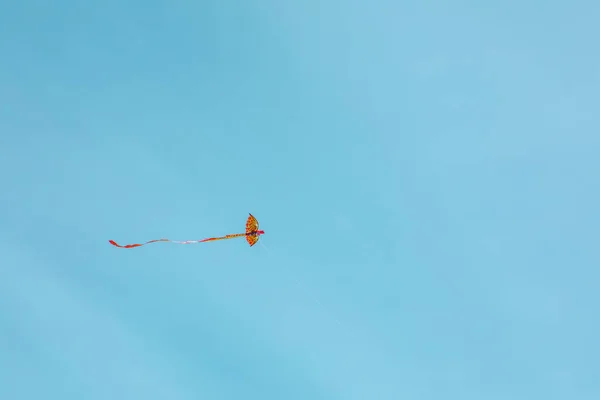 Oranje Kleurrijke Vlieger Blauwe Lucht Kopieerruimte — Stockfoto