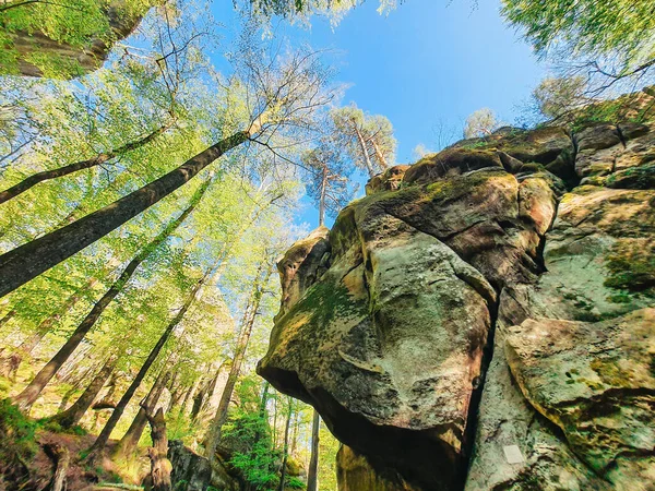 Dovbush Βράχους Ουκρανία Άνοιξη Δάσος Αντίγραφο Χώρου — Φωτογραφία Αρχείου