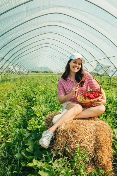 woman gathering strawberries at the farm vitamins