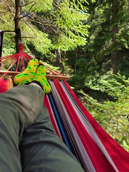 Man Laying Hammock Forest Copy Space — Stockfoto