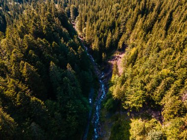 SUV arabası off-road 'da. Karpat Dağları 'ndaki Kanyon. Boşluğu kopyala