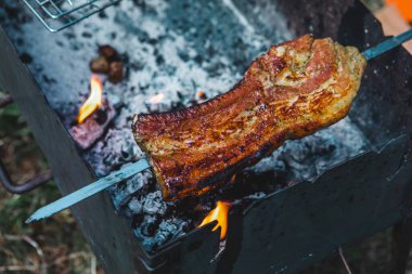 Kamp ateşinde et pişirmek. Yakın çekim. kamp konsepti