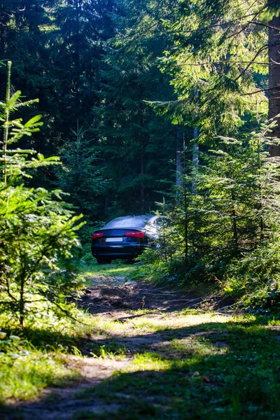 Автомобіль Припаркований Лісі Літня Подорож — стокове фото