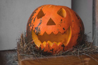 Ürkütücü balkabağı kafası. Yaklaş.