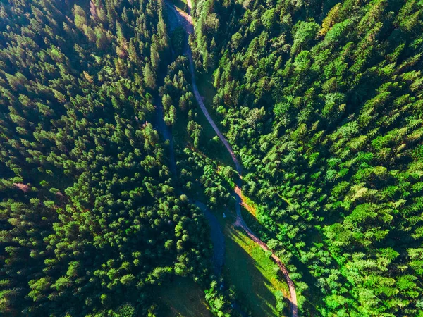 Γενικά Top View Καλοκαιρινό Δάσος Στο Βουνό Creek Μονοπάτι Δρόμο — Φωτογραφία Αρχείου