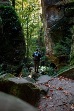 Sırt çantalı bir adam Ukrayna 'da orman Dovbush kayalıklarıyla kanyonda yürüyor.