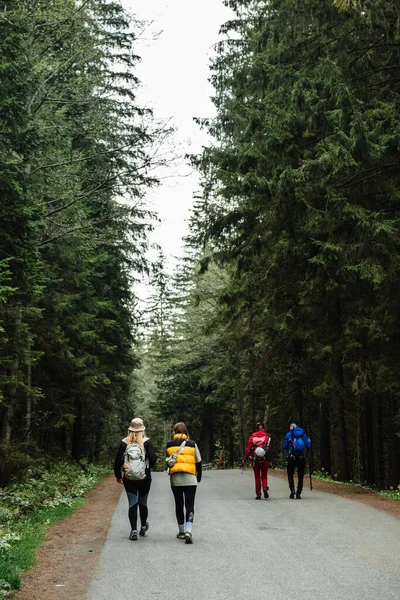 Travel Groups Hikers Trail National Park — Fotografie, imagine de stoc