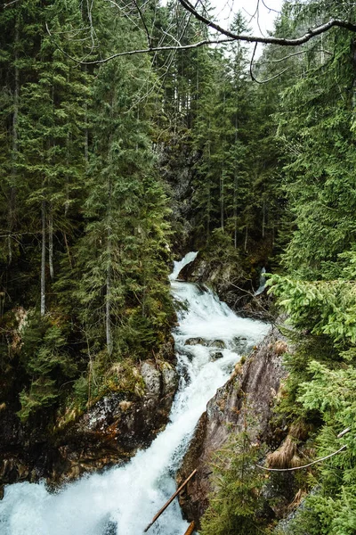 Waterfall Forest Poland National Park — Fotografia de Stock