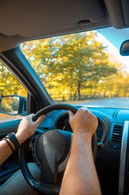 araba sonbahar ormanı yol kenarı navigasyonu telefon fotokopi alanında.