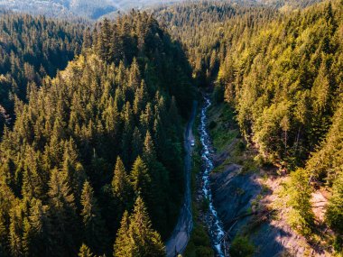 SUV arabası off-road 'da. Karpat Dağları 'ndaki Kanyon. Boşluğu kopyala