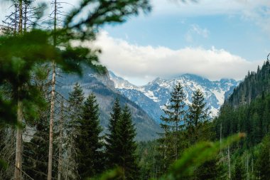 Tatras Dağları 'nın manzarası