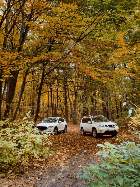 Two Suv Cars Autumn Forest Copy Space — Stockfoto