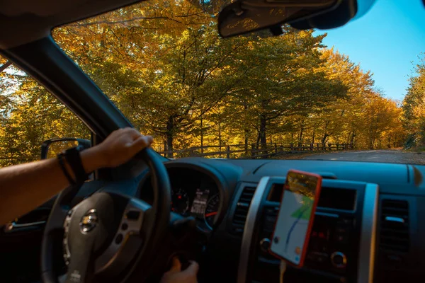 Driving Car Autumn Forest Road Side Navigation Phone Copy Space — Stockfoto