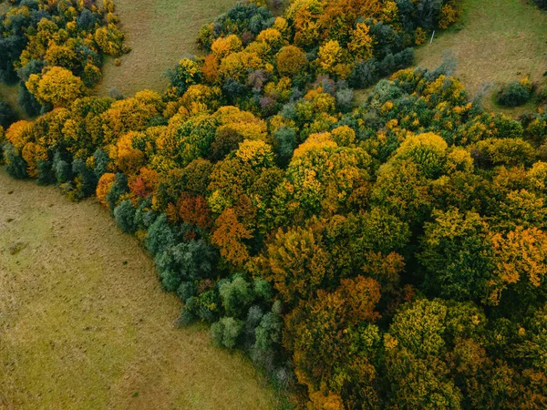 秋天喀尔巴阡山脉的航景复制空间 — 图库照片