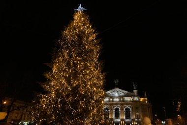 christmas tree in front of opera building Lviv Ukraine