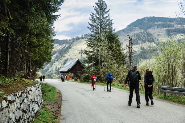 Travel Groups of Hikers on trail in National Park.