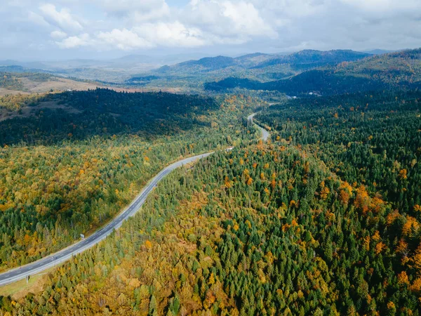 Sonbahar Karpatlar 'daki Ukrayna Dağları' ndaki yarış yolu manzarası