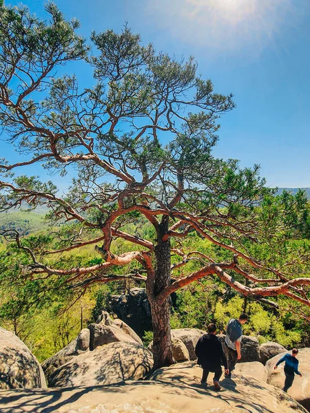 Dovbush Rocks Ukraine May 2021 People Hikers Summer Day Copy — Stock Photo, Image