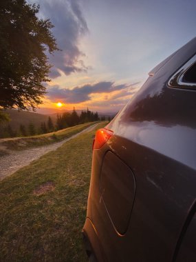 gray car near a big old beech tree in the carpathians mountains at sunset