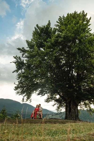 Couple Sits Bench Big Old Beech Tree View Carpathians Mountains — 스톡 사진