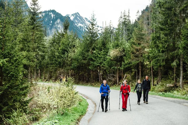 Travel Groups Hikers Trail National Park — Stock Photo, Image