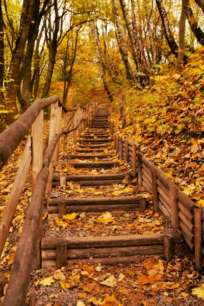 Schodiště Podzimní Sezóně Parku — Stock fotografie