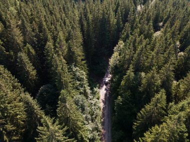 SUV arabası off-road 'da. Karpat Dağları 'ndaki Kanyon. Boşluğu kopyala