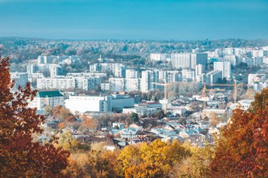 Sonbahar geliyor. Arka planda sarı ağaçlar park alanı var.