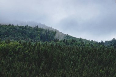 mountain in the cloud. morning time