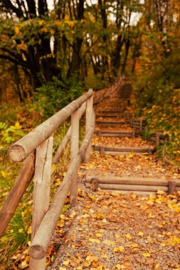 Sonbahar parkındaki merdivenler sonbahar sezonu