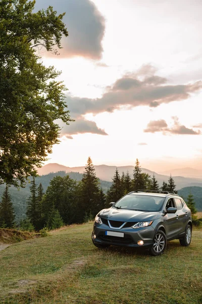 Gray Car Big Old Beech Tree Carpathians Mountains Sunset — Foto Stock