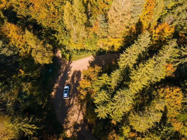 overhead view of the car moving by road in autumn forest copy space