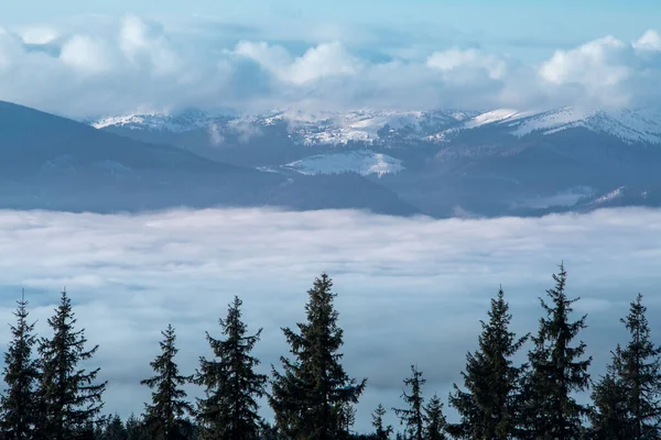 冬のウクライナのカルパチア山脈の風景 ブコヴェル — ストック写真