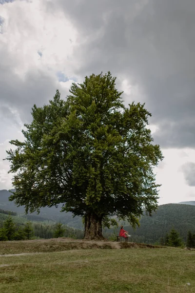 Молода Жінка Червоній Сукні Сидить Під Великим Деревом Горах — стокове фото