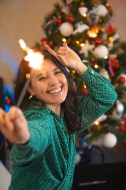 Arka plandaki kış tatilinde elinde maytap Noel ağacı tutan mutlu güzel kadının portresi.