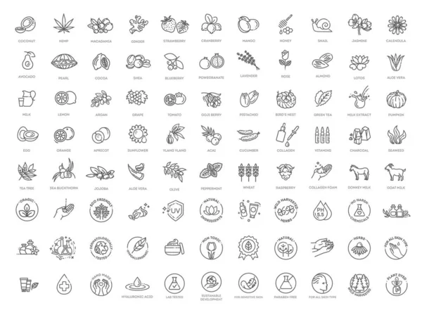 Cosmetic Ingredients Vector Icons Herbs Fruits Vegetables Flowers Oils Thin — Stock Vector