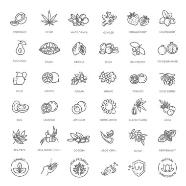 Organik kozmetik ürünlerinin çizgi simgelerini oluşturun. Kore kozmetik malzemeleri. Doğal organik kozmetik ürünler, vegan gıda sembolleri..
