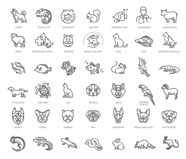 Outline Web Vector Icon Set Pet Vet Pet Shop Tipi — Vettoriale Stock