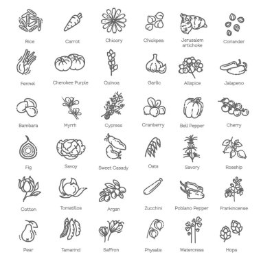 Vector collection. Vegetables and fruit thin line icon set. Ingredients clipart