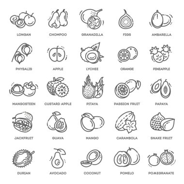 Meyveler, egzotik meyveler, vejetaryen - minimal ince çizgi ağ simgesi