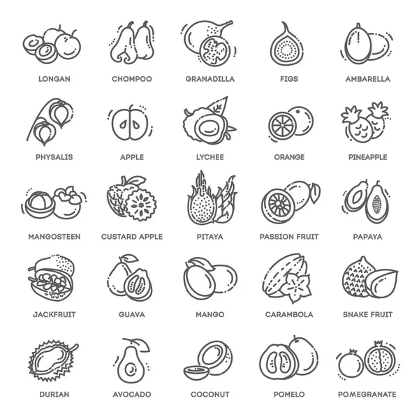 Fruit Exotisch Fruit Vegetarisch Minimale Dunne Lijn Web Icon Set — Stockvector