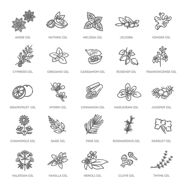 Natuurlijke Ingrediënten Oliën Vectorlijnpictogrammen — Stockvector