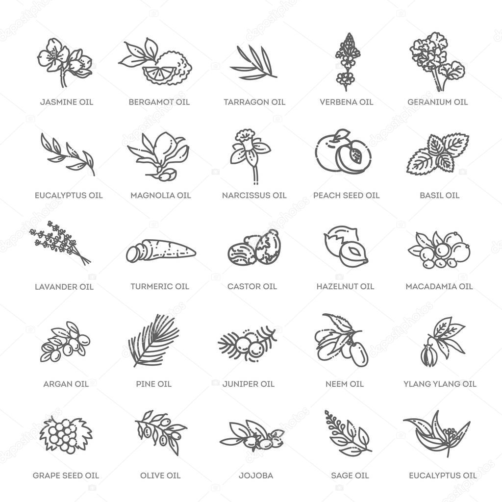 Natural ingredients and oils. Vector line icons