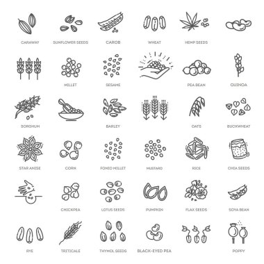 Set of outline cereal grains isolated on white clipart