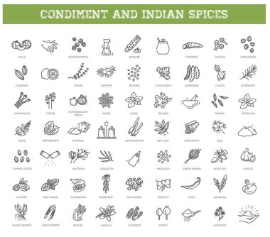 İnce baharatlar, baharatlar ve bitki ikonları.
